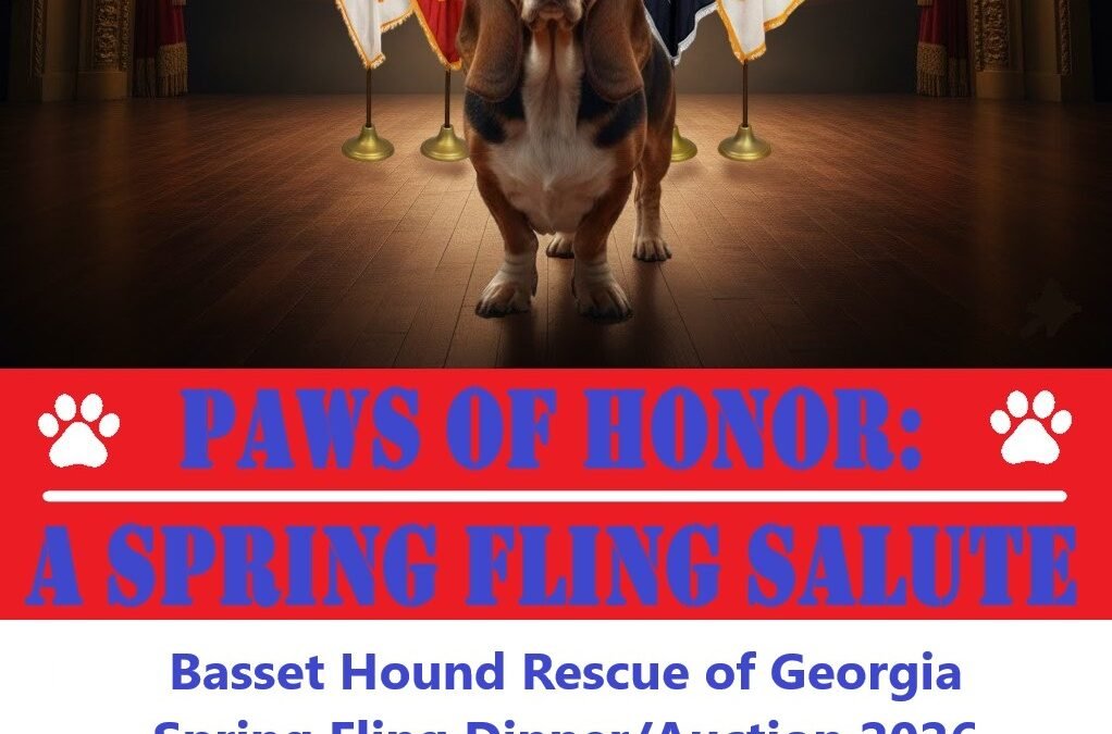 Paws of Honor